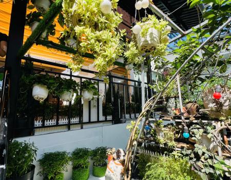 QUÁN CAFE ĐẸP TẠI TP BẾN TRE